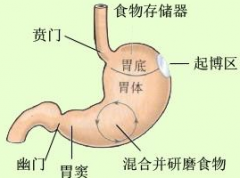 賁門(mén)癌有什么治療方法？
