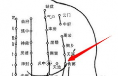 中醫教你按摩食竇穴治療打嗝，食竇穴的位置怎么找你？