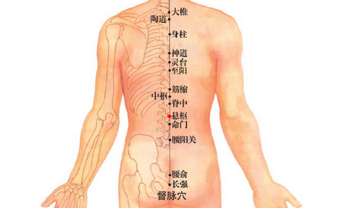 懸樞穴的按摩方法