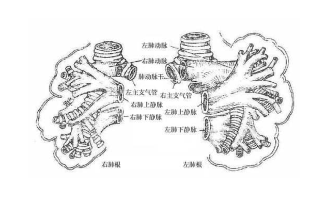 肺放線菌病的診斷