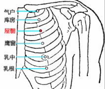 屋翳穴的豐胸按摩法及其屋翳穴的準確位置！