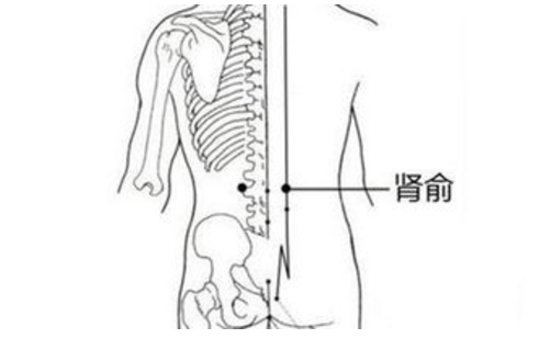 按摩腎俞穴的好處