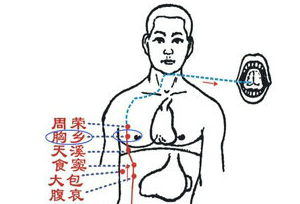 胸鄉穴的圖片