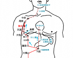 胸鄉穴的準確位置