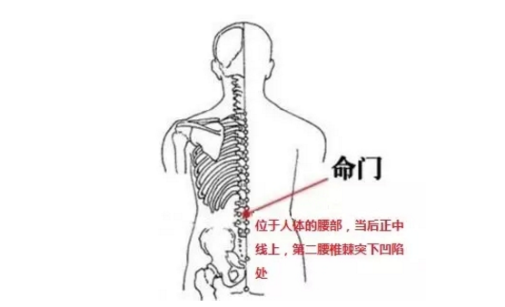 命門穴的功效與作用