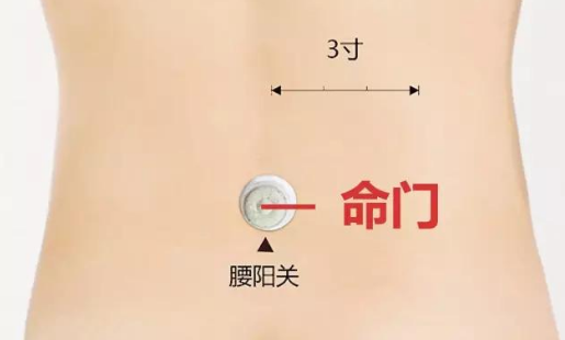 按摩命門穴的好處