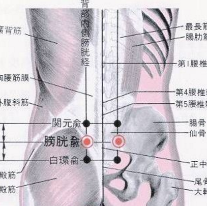 膀胱俞穴疼痛是怎么回事？它的準(zhǔn)確位置極其按摩的方法與作用你知道嗎？