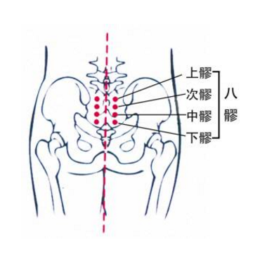 按摩八髎穴可治療婦科疾病，你知道它的準確位置及按摩的好處有哪些嗎？