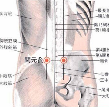關元俞穴疼痛怎么回事？