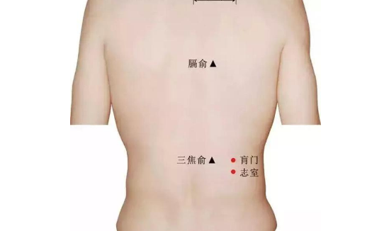 志室穴的圖片