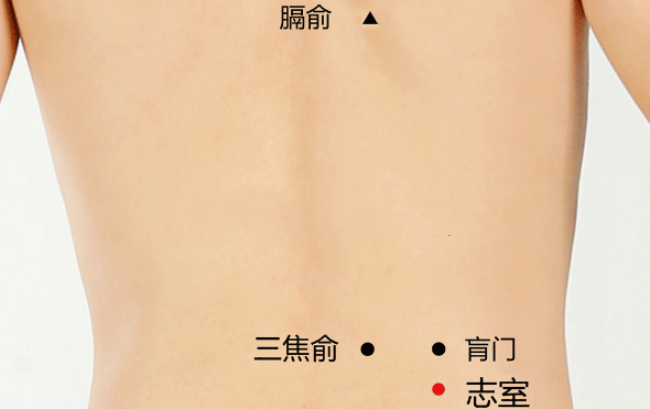 按摩志室穴的好處
