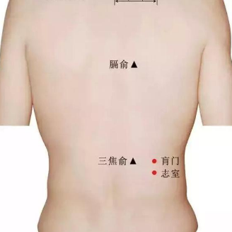 志室穴疼痛是什么原因引起的？志室穴的準(zhǔn)確位置及其按摩方法有哪些？