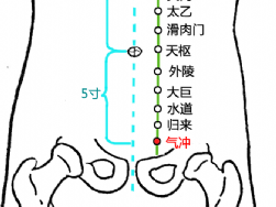 氣沖穴的圖片