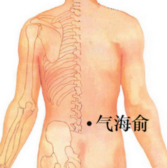 氣海俞穴的準(zhǔn)確位置在哪？按摩氣海俞穴的功效與作用有哪些？