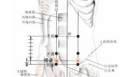 歸來(lái)穴位置