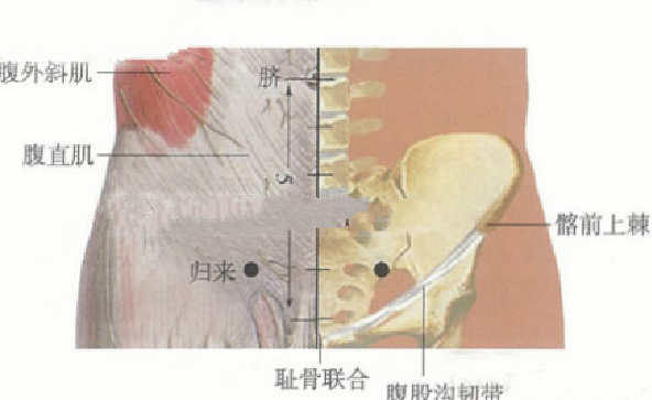 歸來(lái)穴主治疾病