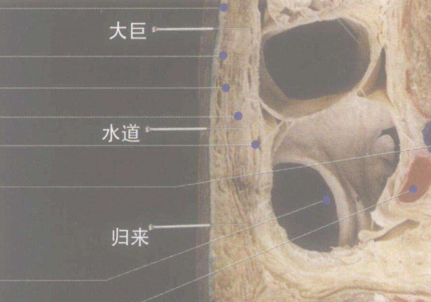 水道穴減肚子的按摩方法