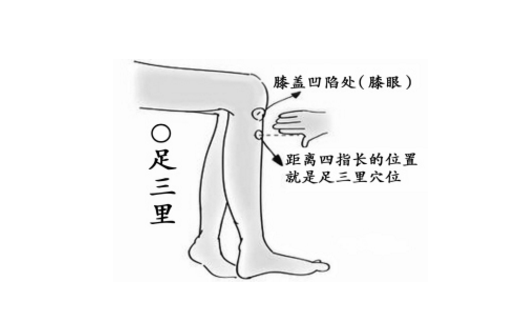 脾虛的按摩調理法