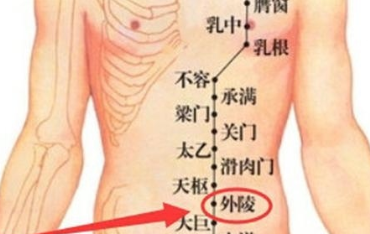 外陵穴的圖片