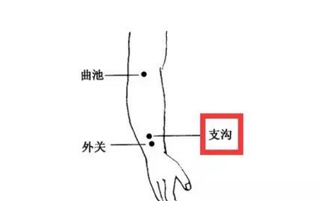 支溝穴的功效與作用