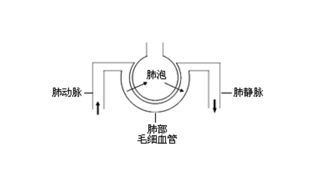 肺泡-毛細(xì)血管阻滯綜合征的癥狀