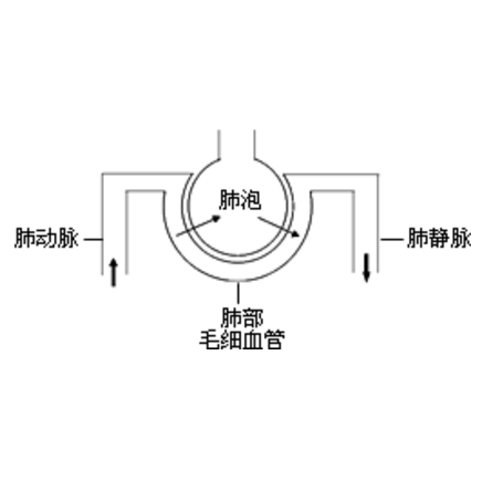 肺泡-毛細血管阻滯綜合征的癥狀表現及其診斷檢查與治療方法有哪些？