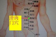 減肥穴——滑肉門穴的具體位置及其按摩方法！