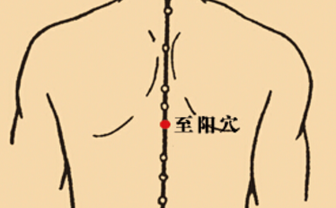 至陽穴的功效與作用