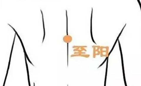 至陽穴主治疾病