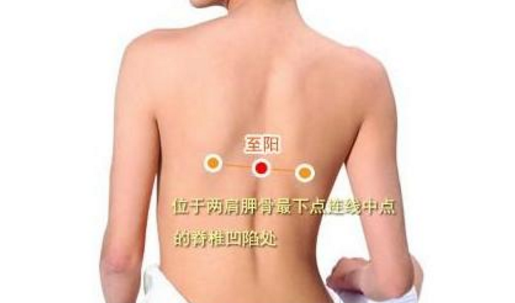至陽穴的按摩方法