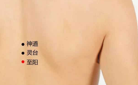 至陽穴穴位配伍