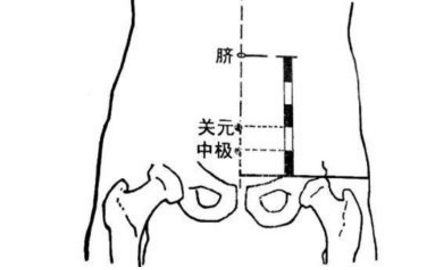 中極穴主治疾病