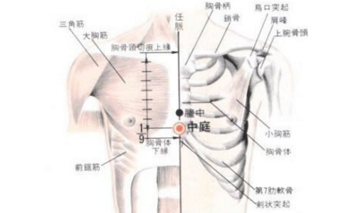 中庭穴的功效與作用