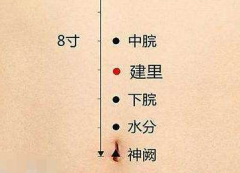建里穴準(zhǔn)確位置怎么找？中醫(yī)教你按摩建里穴和胃安神的方法