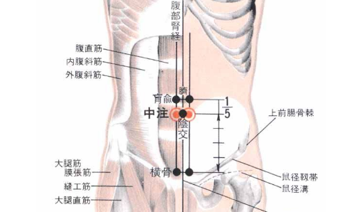 中注穴的功效與作用