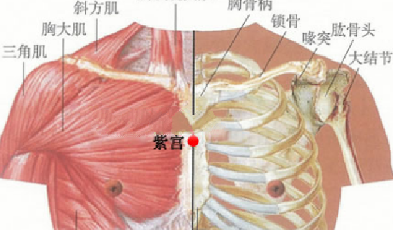 紫宮穴的功效與作用
