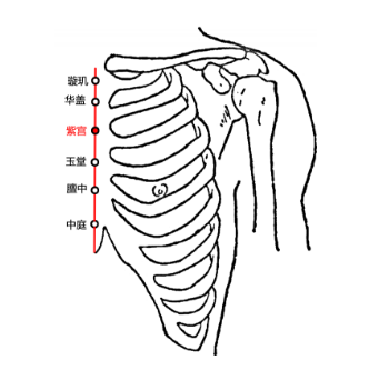 紫宮穴疼痛怎么回事？紫宮穴的準(zhǔn)確位置及其功效與作用解析！