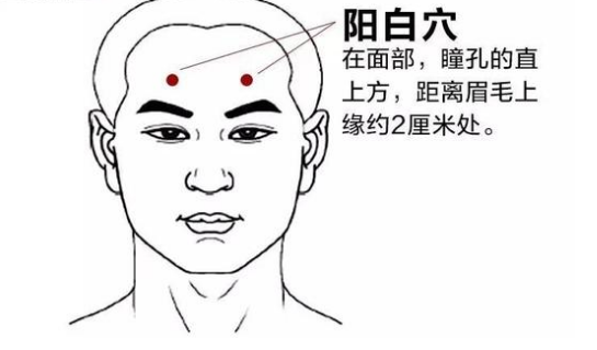 陽白穴的功效與作用