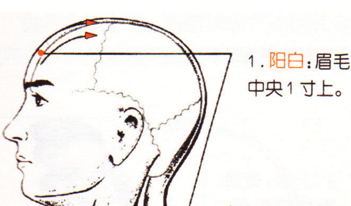 陽白穴主治疾病