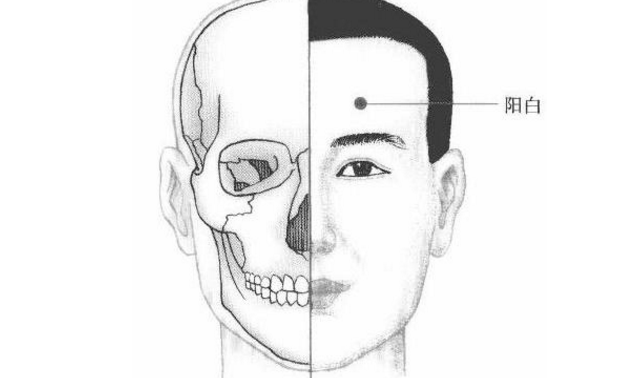 陽白穴穴位配伍
