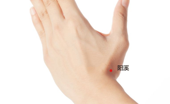 陽溪穴穴位配伍