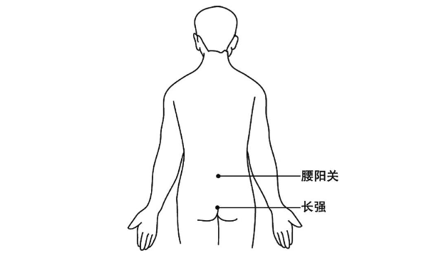 腰陽關穴圖片