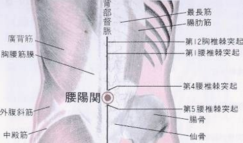 腰陽關穴主治疾病