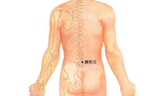 按摩腰陽關穴的好處