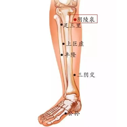 按摩陰陵泉穴有祛濕的功效，你知道它的準(zhǔn)確位置在哪嗎？