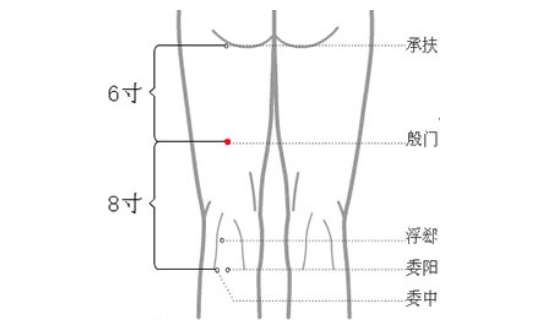 殷門穴圖片