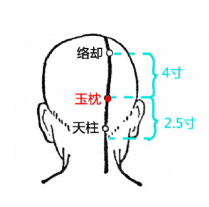 玉枕穴疼痛是什么原因？中醫(yī)教你正確定位玉枕穴的準(zhǔn)確位置！