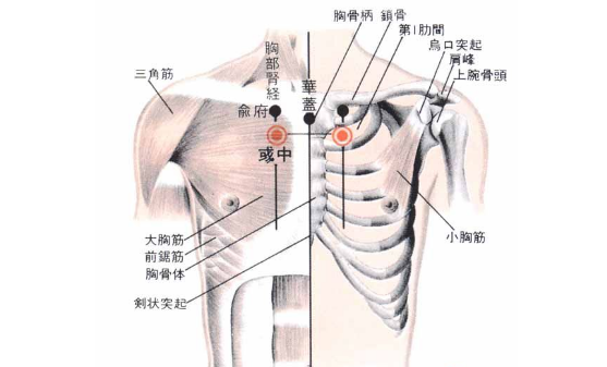 彧中穴的功效與作用