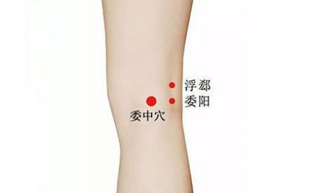 委陽穴位置