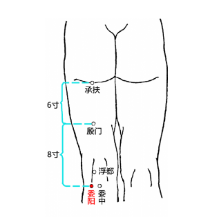 委陽穴疼痛是什么原因引起的？委陽穴的準確位置及其功效與作用！